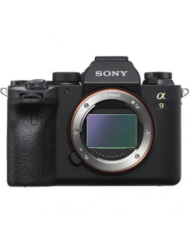 sony alpha body